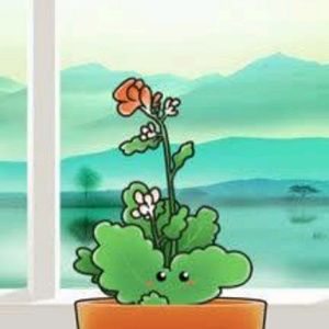 Meet your Posher, Aly